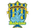 FC Baleine Shimonoseki