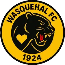 ES Wasquehal