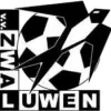 Zwaluwen
