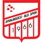 Ayvalıkgücü Belediyespor