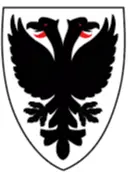 AFC Wimbledon Feminino