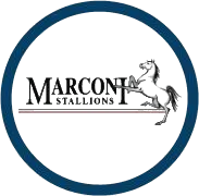 Marconi Stallions