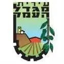 Hapoel Migdal HaEmek