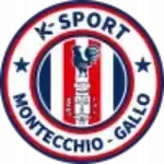 ASD K-Sport Montecchio