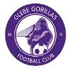 Glebe Gorillas FC