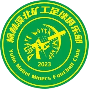 Yulin Mobei Miners