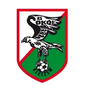 Sokół Kleczew