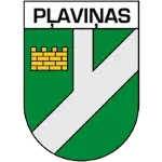 Pļaviņas DM