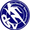 SV Dellach Gail