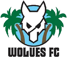 Wolues FC
