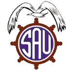 San Antonio Unido