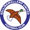 Ballinamallard United