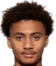Enzo sternal