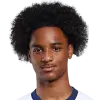 Tynan Thompson