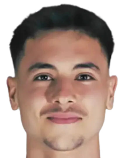 H. Mevlütoğlu
