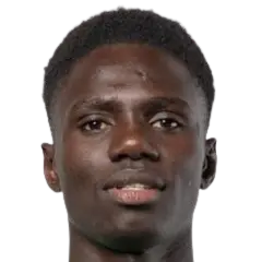 Cheikh Fall