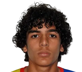Daniel Badillo Sousa