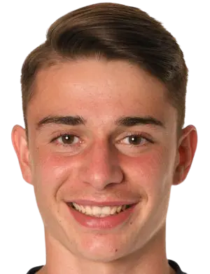 schwegler silvan