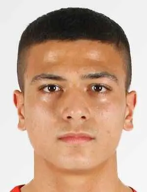 K. Dönertaş