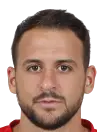 Mihai Dobrescu