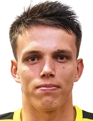 Denis Vambolt