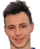 Arian Mrsulja