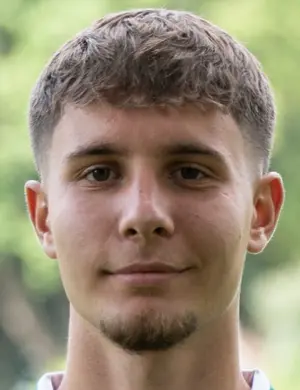 Altin Ibisi