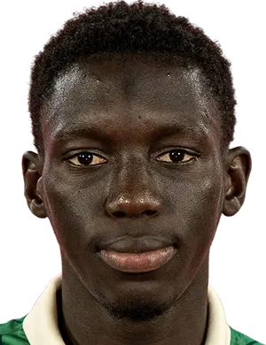 Nfansu Njie