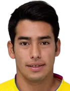 Sergio Araujo