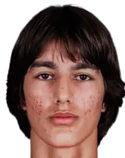 Amil Siljevic