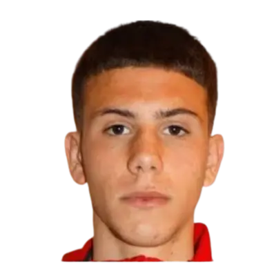 andrej pavlovic