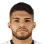 Berguinho da Silva