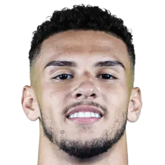 Guilherme Meira Ferreira Alves