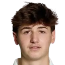 daris djezic