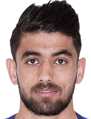 Peyman Babaei Alibeyk