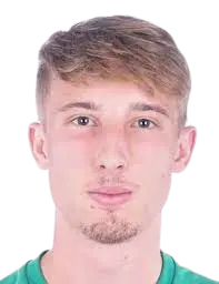 Nace Koprivnik