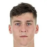 Dominic Volkmer