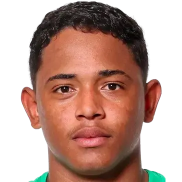 Pedro Antonio Pimentel Ferreira