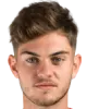 nico rijn van