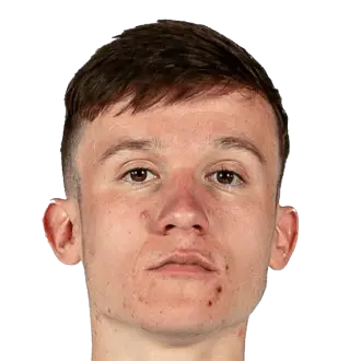 Mitja Ilenic