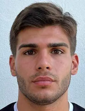 Mark Gomizelj