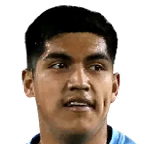Nicolas Bruna Araya