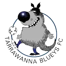 Tarrawanna Blueys