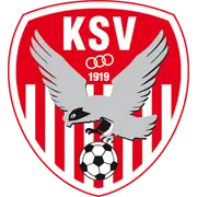 Kapfenberg SV 1919